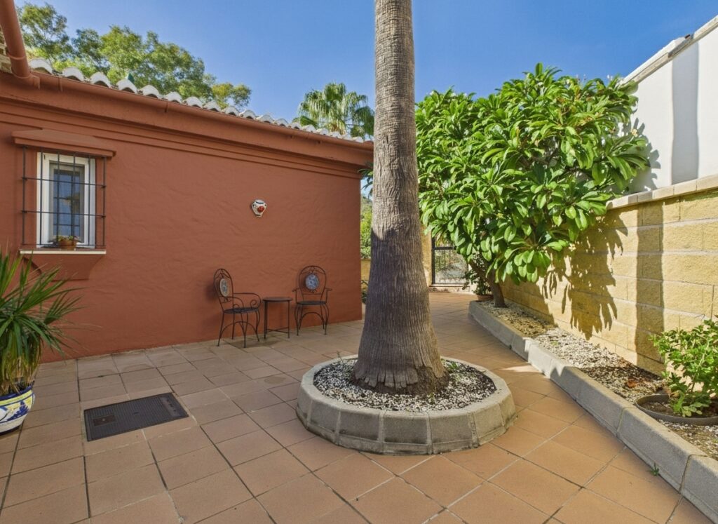 20260124 045213 064536