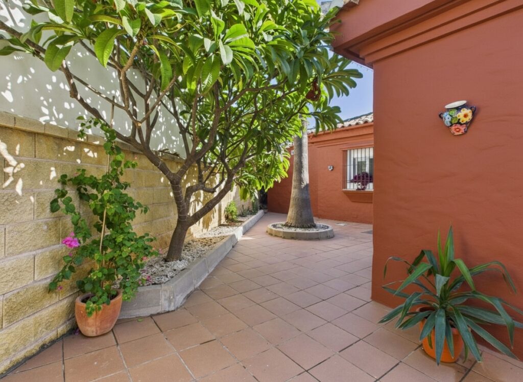 20260124 045231 064532