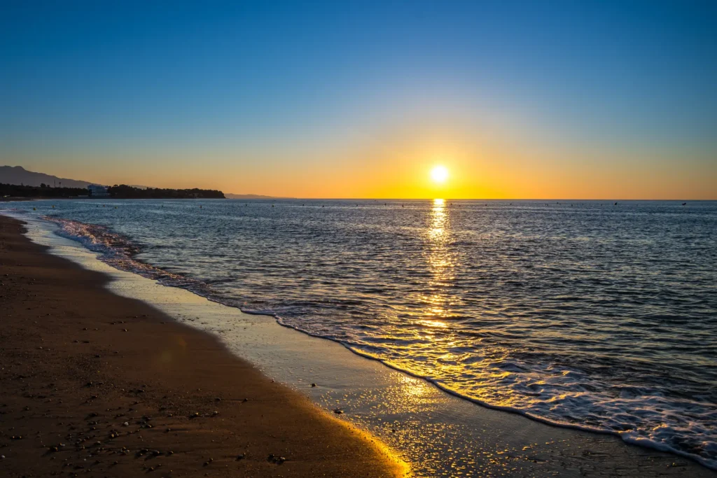 shutterstock 1291739887 064610