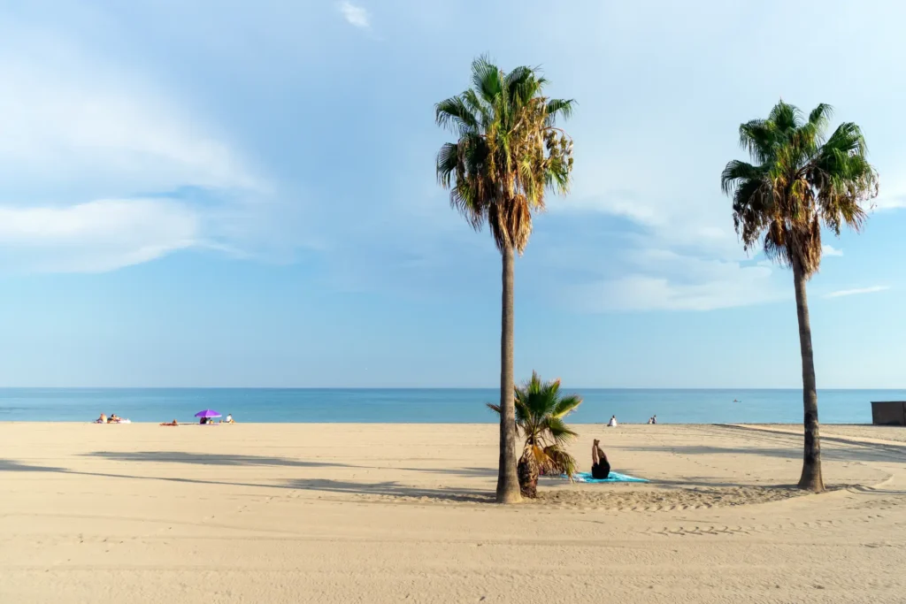 shutterstock 2466574073 064612